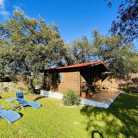Villa Casita Louisa Chiclana de la Frontera Exterior foto